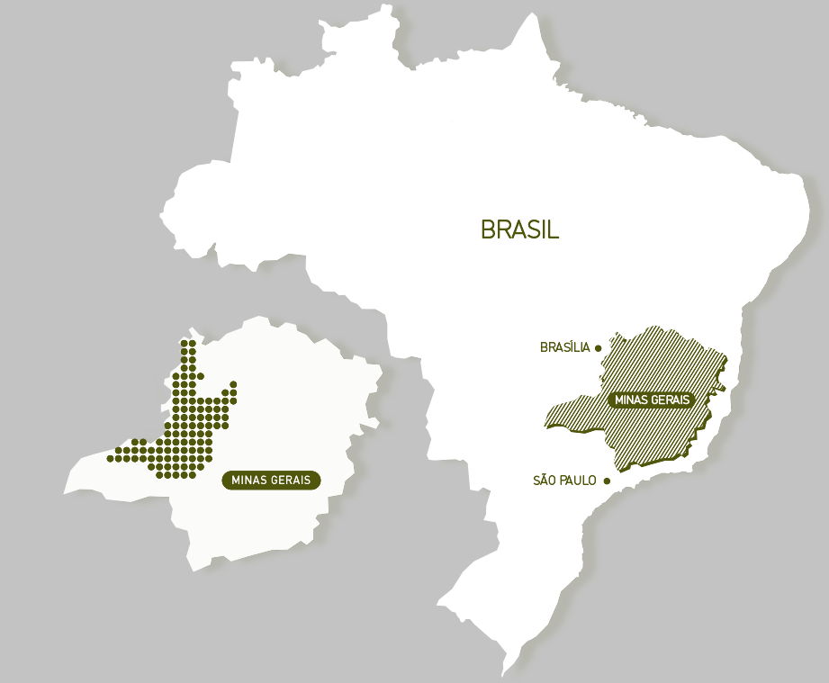 Brazil Cerrado | Minas Gerais