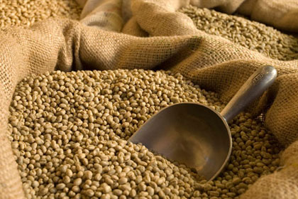 GREEN: Super Mocha (1kg - 5kg)